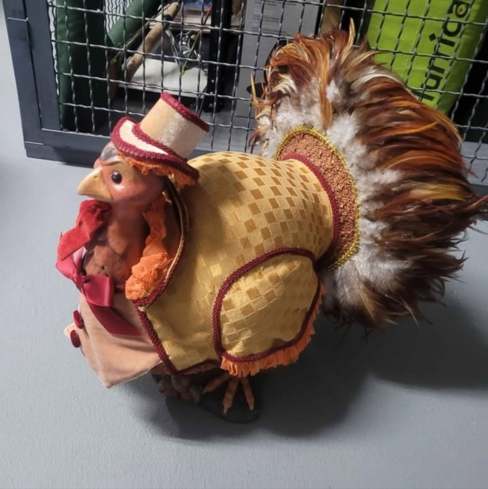 Wayne klesky Thanksgiving turkey